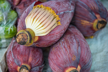 Banana Flower Blossom