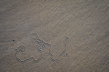 Morning seascape beach images from Nova Scotia Canada