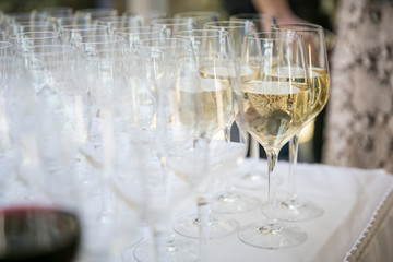 Gläser mit Weißwein / Catering & Service