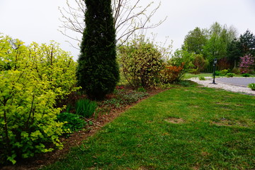 Ogród na wiosnę © Anna