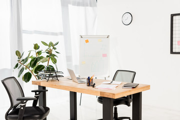 modern office with white board, plant and laptop on desk