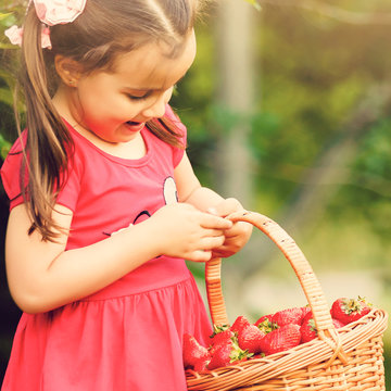 Adorable little girl with the basket full of strawberry. Horizontal natural light photo.