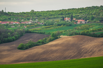 Fototapeta na wymiar Moravian fields at spring near Svatoborice village, Hodonin, Czech Republic