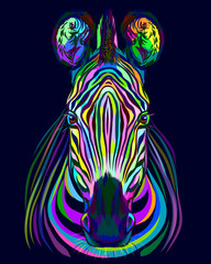 Abstract multicolored portrait of zebra head on blue background