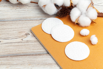 Branch with cotton flowers on wooden background