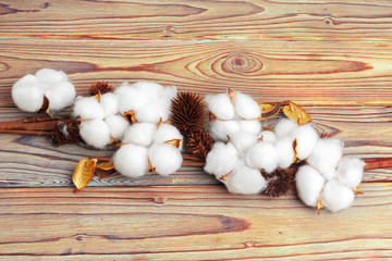 Branch with cotton flowers on wooden background