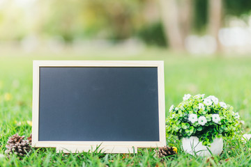 empty wooden blackboard and Flowerpot in square shape on green grass in the park background.