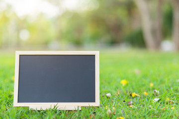 empty wooden blackboard in square shape on green grass in the park background.