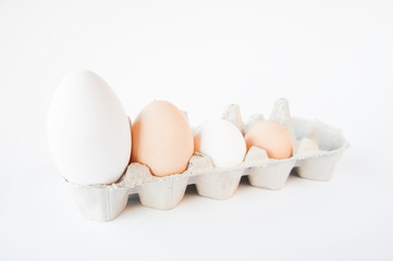 in a small tray are four eggs. From large to small On a white table