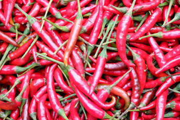 red chillies background