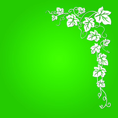 Vector image of a vine with leaves against a green background, which are well suited for presentations, backgrounds, illustrations.