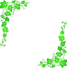Vector image of a vine with leaves that are well suited for presentations, backgrounds, illustrations.