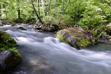 《奥入瀬渓流》青森県十和田市