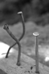 black and white photograph of a dowel and rusty crooked nails as a metaphor of character, stability...