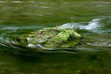 《奥入瀬渓流》青森県十和田市