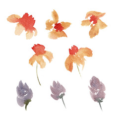 hand drawn beautiful colorful loose watercolor set of orange and violet flowers isolated on white background