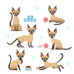 Vector illustration set of cute kitten in various poses with cat paw prints on white background. Collection of cat in different positions - playing, eating and jumping in flat cartoon style. cat for