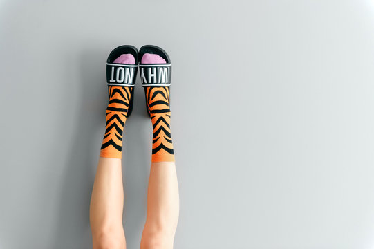 Beautiful female legs in striped trendy orange socks wearing fashionable rubber slippers with inscription why not on gray background. Elegant stylish trendy and voguish footwear for fashionable ladies