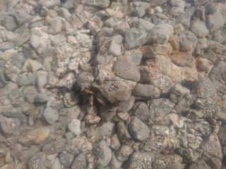 texture of stone