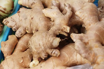 Ginger root for cooking in the market