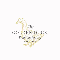 The Golden Duck Abstract Vector Sign, Symbol or Logo Template. Hand Drawn Domestic Bird Sillhouette with Retro Typography. Vintage Luxury Vector Emblem.
