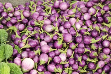Fresh eggplant purple organic at street food