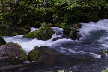 《奥入瀬渓流》青森県十和田市