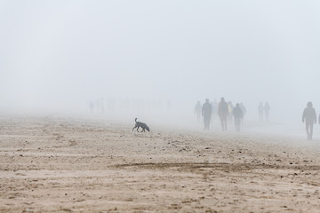 Walkers at Baltic sea in foggy day.