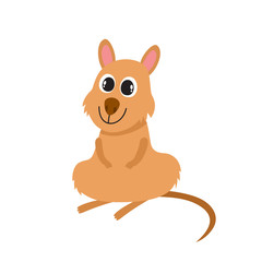 Vector illustration of cartoon wild animal - quokka isolated on white