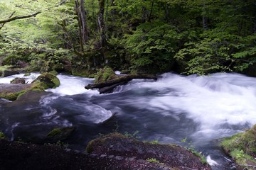 《奥入瀬渓流》青森県十和田市