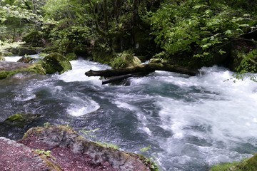 《奥入瀬渓流》青森県十和田市