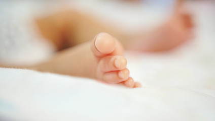 Baby feet. newborn