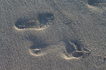 child and parent footprints in the sand
