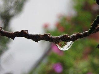 Gota con reflejos