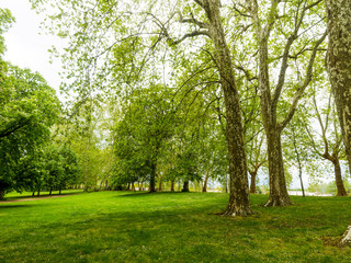 Fototapeta na wymiar Les parcs de Vichy le long du lac d'Allier. Espaces verts et sentiers de promenade. Parc Kennedy, parc des Bourins, parc du soleil et Célestins 
