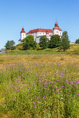 Flowering meadow with a beautiful castle