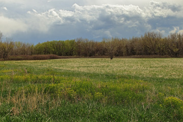 Fototapeta premium Beautiful landscape in Cherry Creek Park and Reservoir at a spring overcast day, Denver, Colorado
