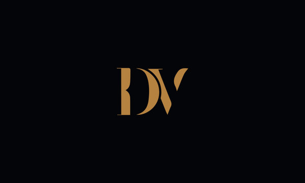 DV logo design template vector illustration
