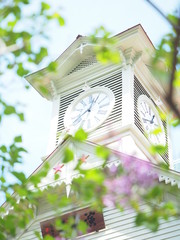 初夏の札幌時計台