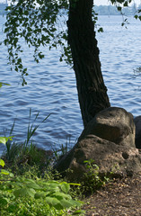 morning on the river