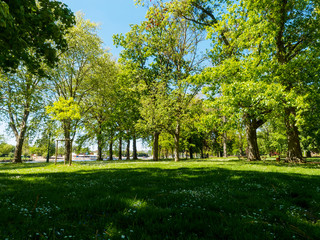 Les parcs de Vichy le long du lac d'Allier. Espaces verts. Parc Kennedy, parc des Bourins, parc du soleil et Célestins 