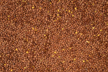 Lentils as a background. Top view.