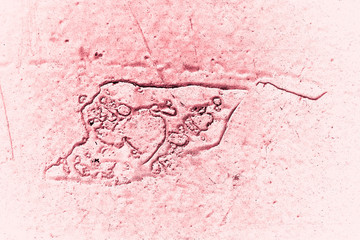 Vintage pink background. Rough painted wall of fiesta color. Imperfect plane of rosy colored. Uneven old decorative toned backdrop of rouge tint. Texture of pink hue. Ornamental stony surface.