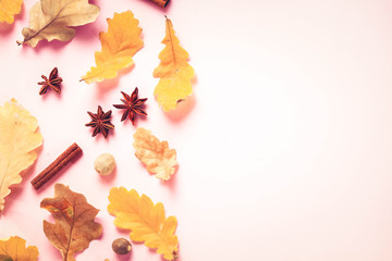 Fall leaves autumn background