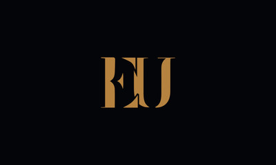 EU logo design template vector illustration