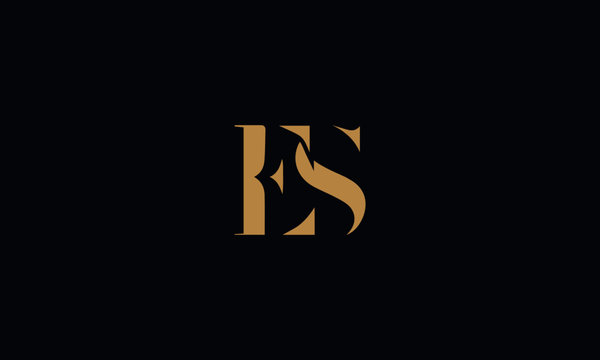 ES logo design template vector illustration