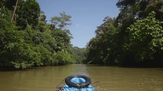 boat ride on green river through rain forest