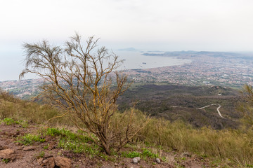 Fototapeta na wymiar on the slopes of the crater of Vesuvius