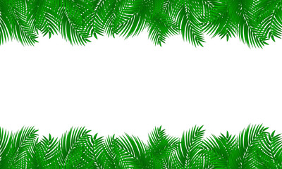 Fototapeta na wymiar Palm leaf frame on white isolated background.