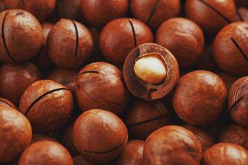 Organic macadamia nut fresh natural fruit shelled one nut in full frame close-up view. Low contrast